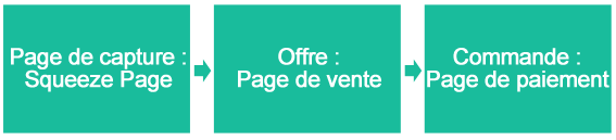 marketing zerudi